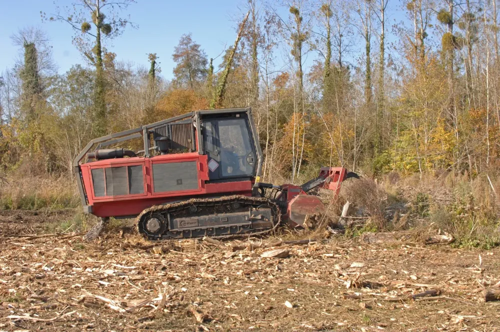 location Broyeur forestier